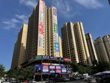 沈酒国际