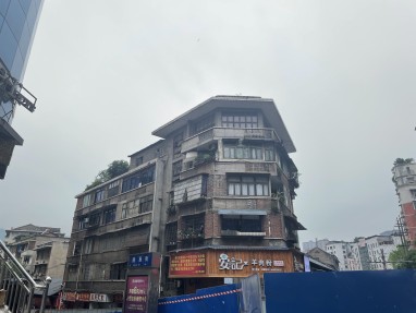 水塘上